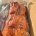 【精品】山东临沂酱香猪头肉/优质卤肉猪头肉/真空包装