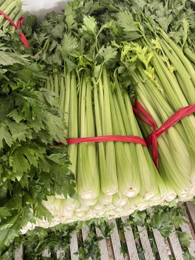 山东一级精品芹菜，山东A级精品芹菜，山东商河芹菜