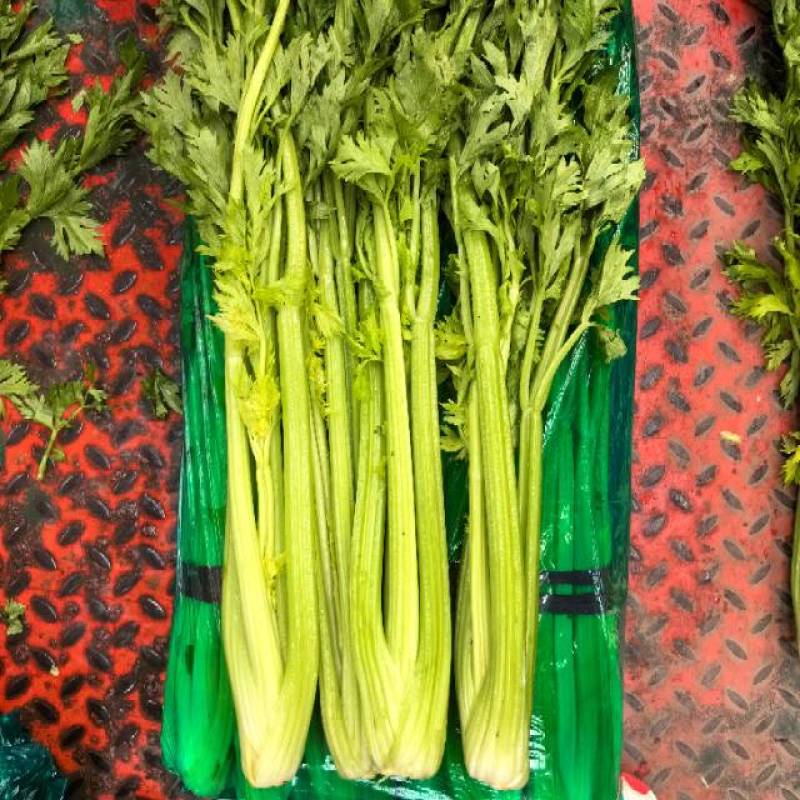 山东一级精品芹菜，山东A级精品芹菜，山东商河芹菜