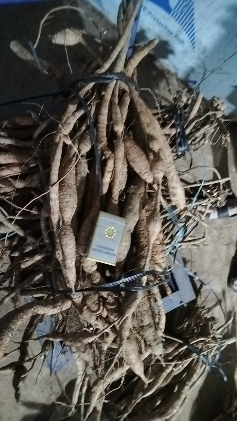 牛大力，统货，小牛，大牛，特大牛