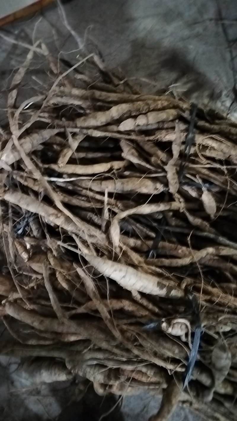 牛大力，统货，小牛，大牛，特大牛