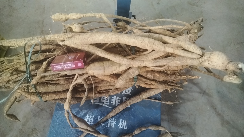 牛大力，统货，小牛，大牛，特大牛
