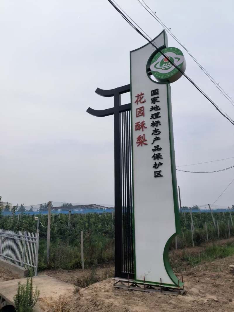 酥脆一号梨产地直供，品质保障，欢迎洽谈，诚信经营