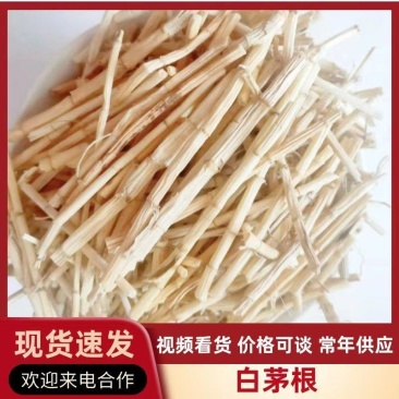 河北安国白茅根干货各种规格茅根竹蔗水诚信经营对接全国市场