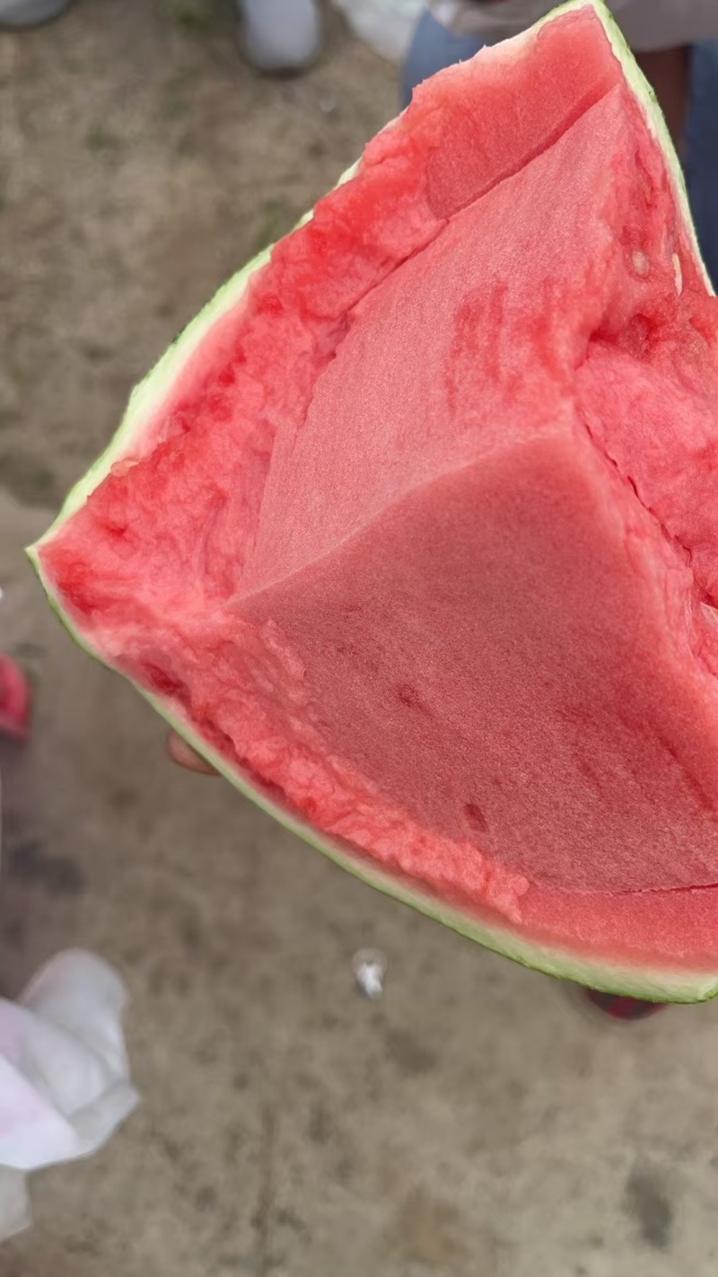 麒麟瓜美都无籽西瓜江苏核心产区直发质量三包，全国发