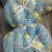 河北承德一级西葫芦，河北A级精品西葫芦，河北承德西葫芦