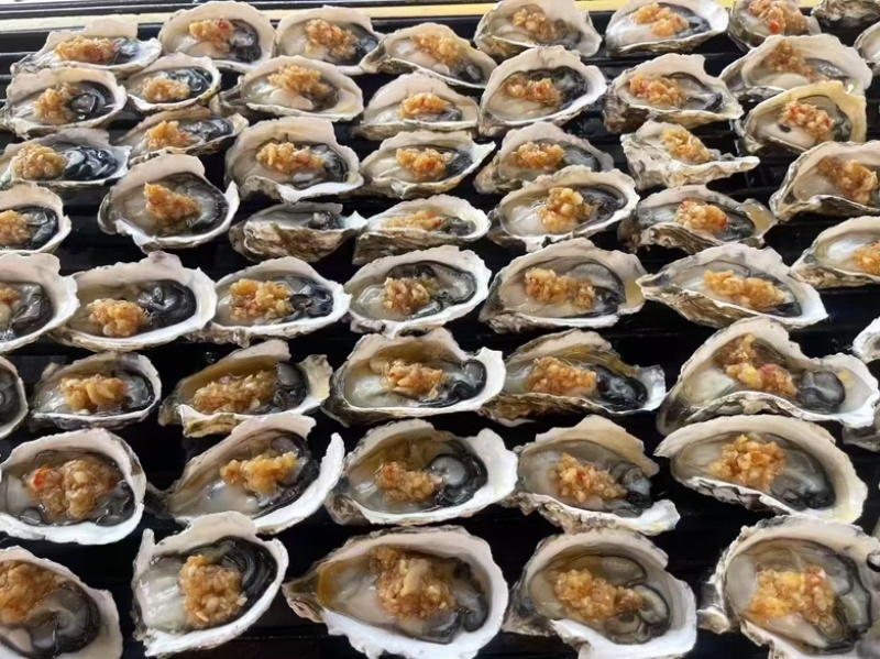 当季广东饶平汫洲生蚝，支持全壳半壳烧烤蚝，生蚝肉批发