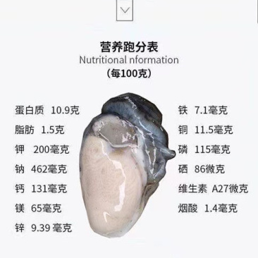 当季广东饶平汫洲生蚝，支持全壳半壳烧烤蚝，生蚝肉批发
