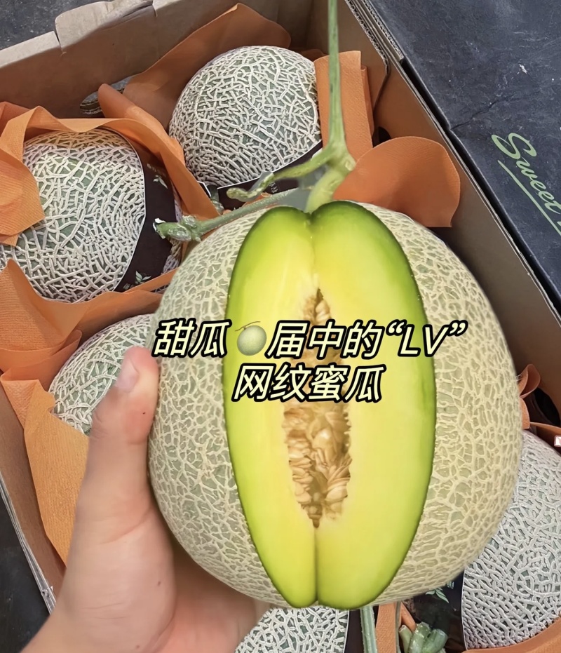 山东晓蜜25哈密瓜/网纹哈密瓜大量有货基地直供可视频看