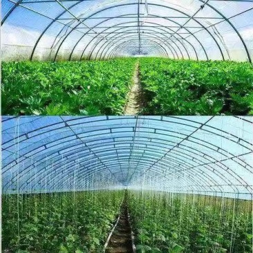 大棚膜
