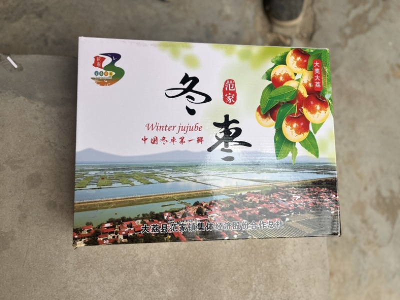 冬枣大荔冬枣陕西冬枣