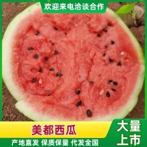 美都西瓜西瓜黑籽西瓜汁多口感甜产品直发