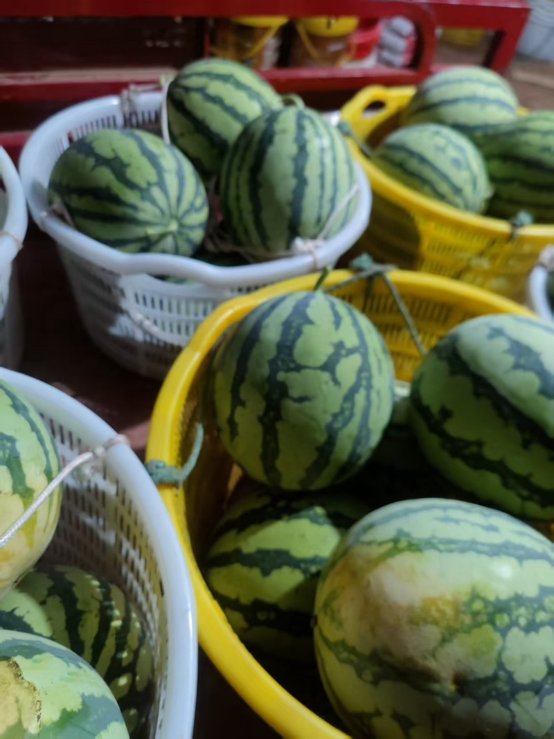美都西瓜西瓜黑籽西瓜汁多口感甜产品直发