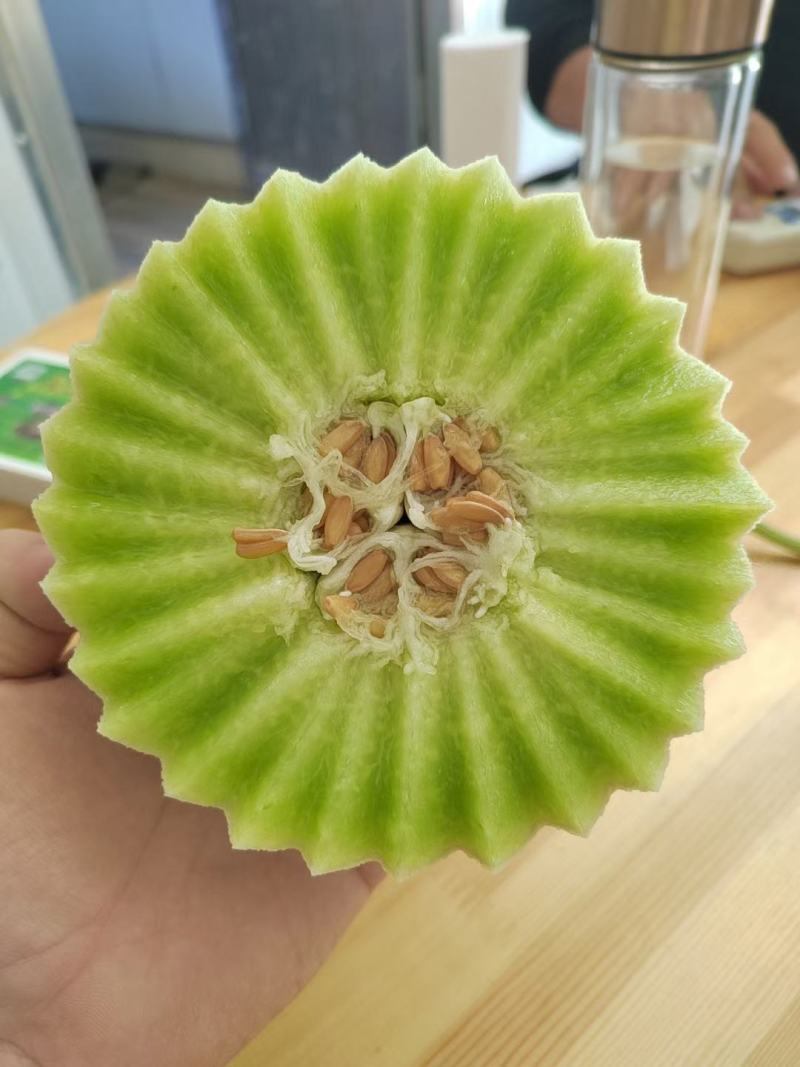 玉姑甜瓜