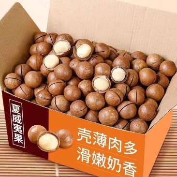 2025新货夏威夷果代发大量现货