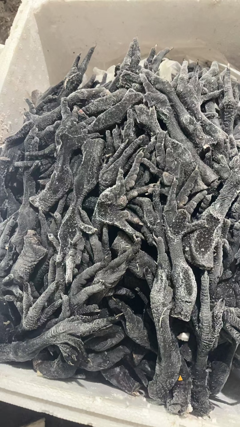 鲜冻长乌鸡脚黑鸡脚每月固定有量