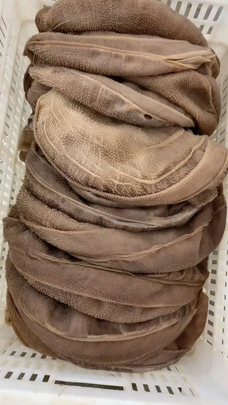 大叶片牛百叶脆爽毛肚精品黑毛肚火锅店串串店推荐