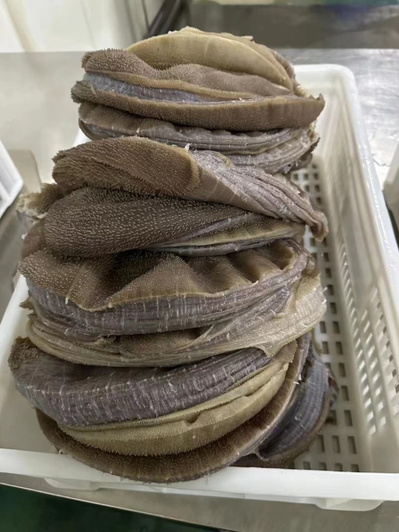 大叶片牛百叶脆爽毛肚精品黑毛肚火锅店串串店推荐