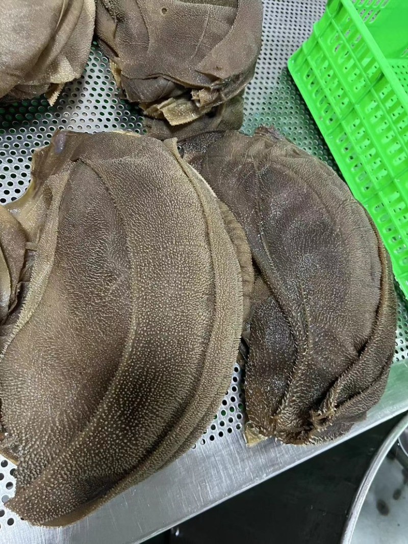大叶片牛百叶脆爽毛肚精品黑毛肚火锅店串串店推荐