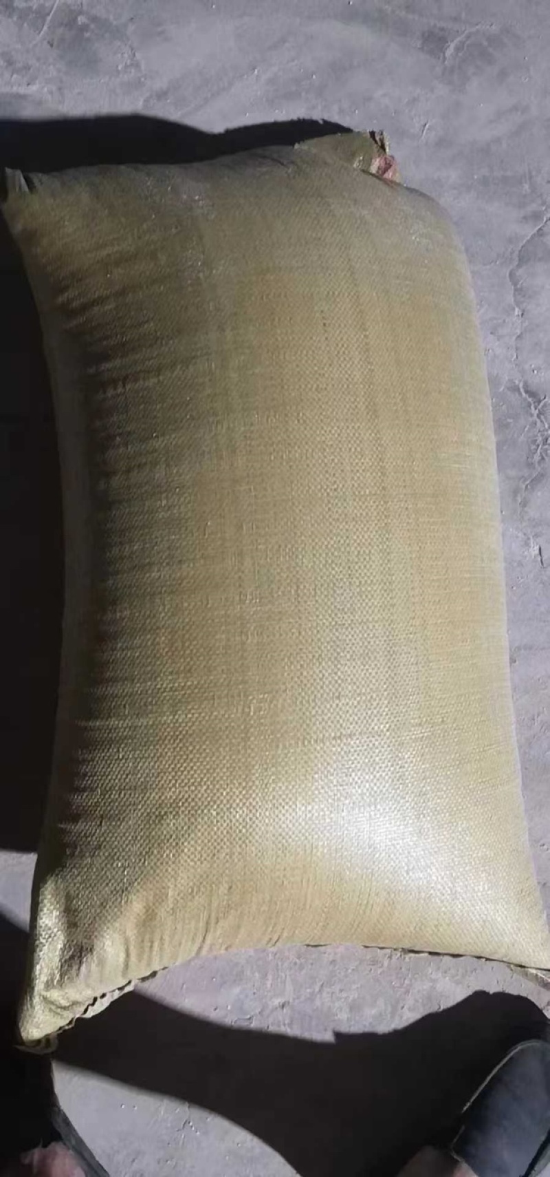 珍珠岩大棚园艺珍珠岩3-6mm花卉盆栽种植育苗基质