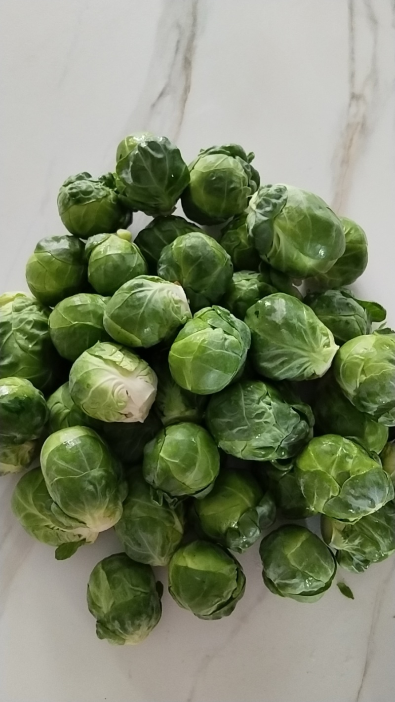 云南昆明抱子甘蓝，基地一手货源直发，品质优良，视频看货