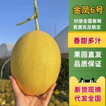 【推荐】精品小蜜25黄25哈密瓜产地直发大量现货