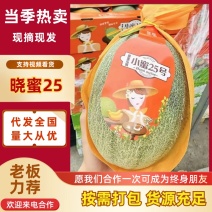 晓蜜25哈密甜瓜风味好专业代收货源充足保质保量欢迎合作