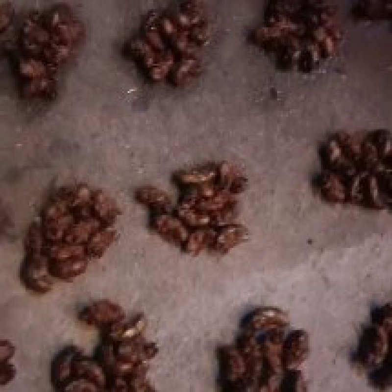 徐州沛县金蝉已经大量上市，要货的老板请和我联系
