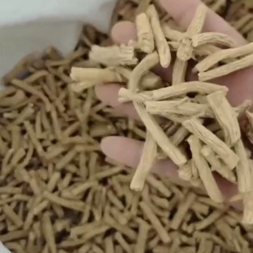 防风寸节