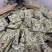 2025年白毫银针饼干茶，口感鲜爽甘甜，花香浓郁