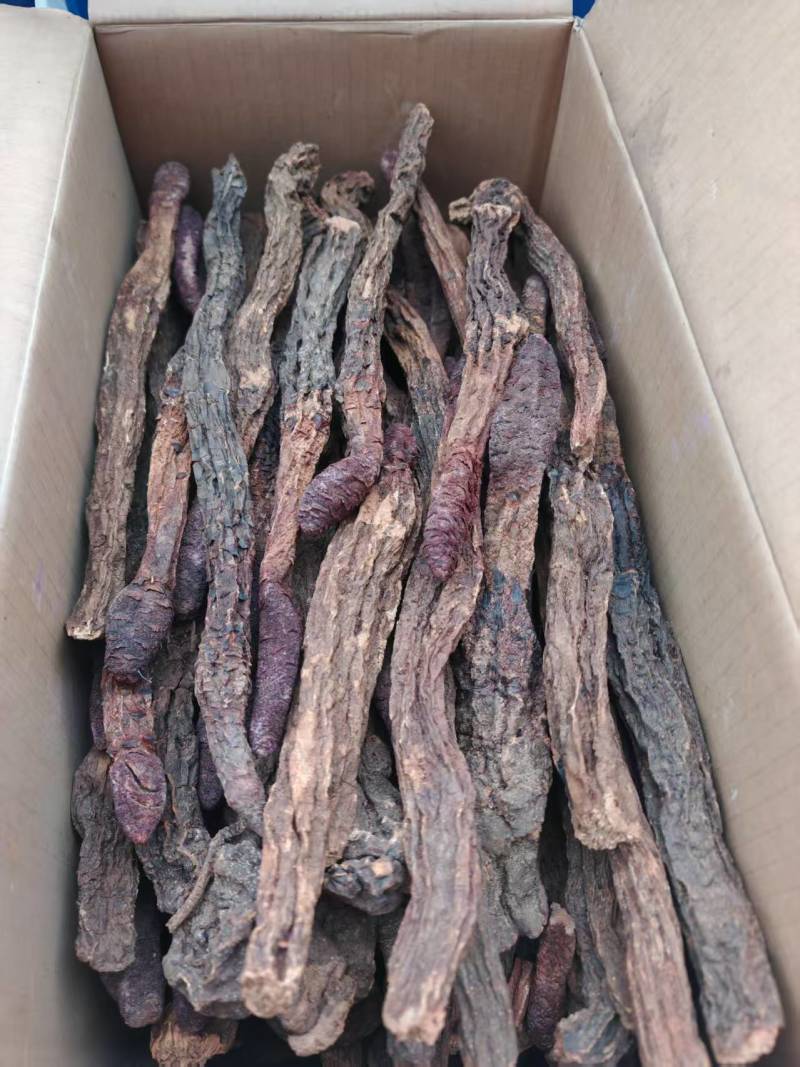 锁阳锁阳个锁阳片泡酒泡茶中药材批发锁阳产地直销