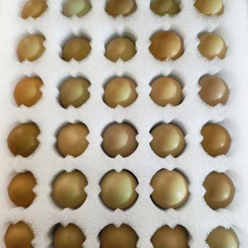 山东七彩野鸡蛋，新鲜，保质保量，大量有货欢迎订购