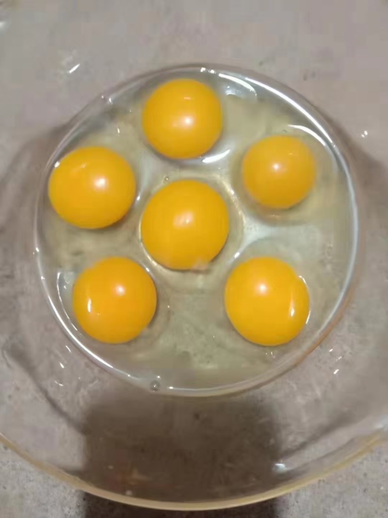 山东七彩野鸡蛋，新鲜，保质保量，大量有货欢迎订购