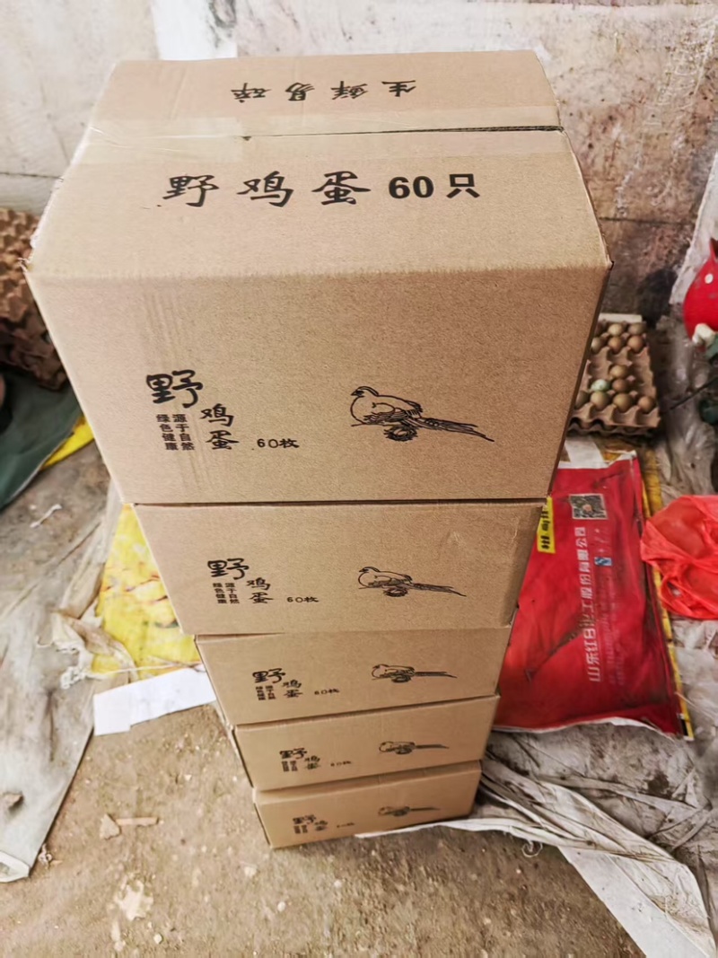 山东七彩野鸡蛋，新鲜，保质保量，大量有货欢迎订购
