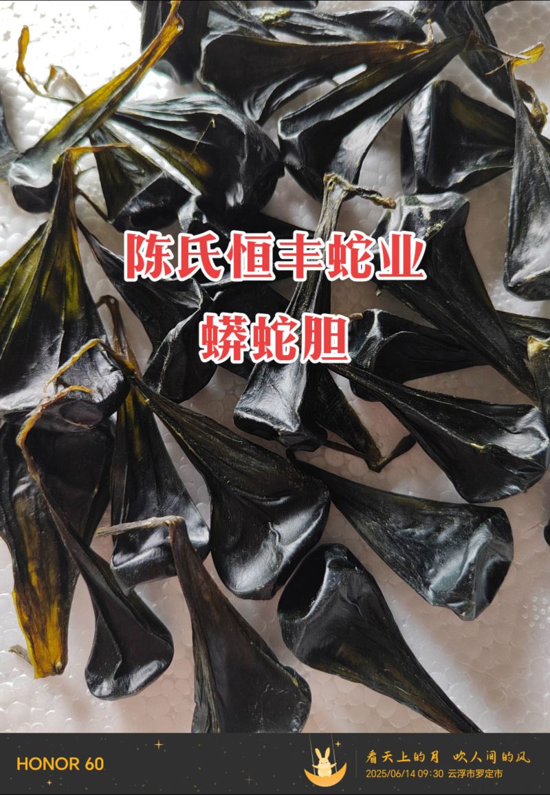 蟒蛇胆,大蛇胆,进口蟒蛇胆,进口大蛇胆