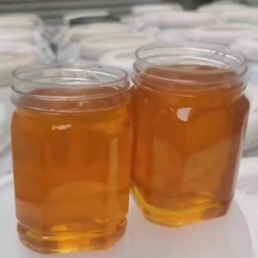 龙眼蜜枸杞蜜等各种蜂蜜蜂农自产天然原蜜批发零售品质保证