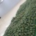 凯特芒大量有货规格齐全量大从优保质保量欢迎咨询