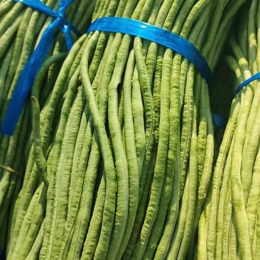 精品豆角青条豆角量大从优品质保证货源充足欢迎来电