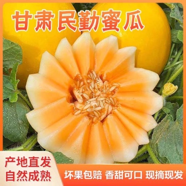 《民勤蜜瓜》金红宝蜜瓜/产地一手/全国供应批发市场