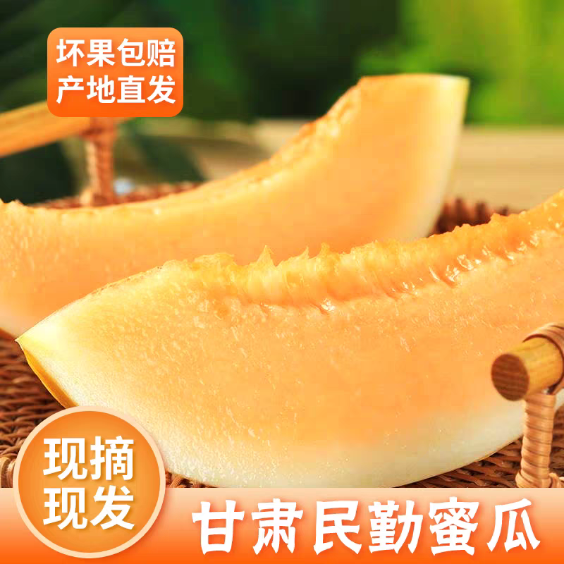 《民勤蜜瓜》金红宝蜜瓜/产地一手/全国供应批发市场