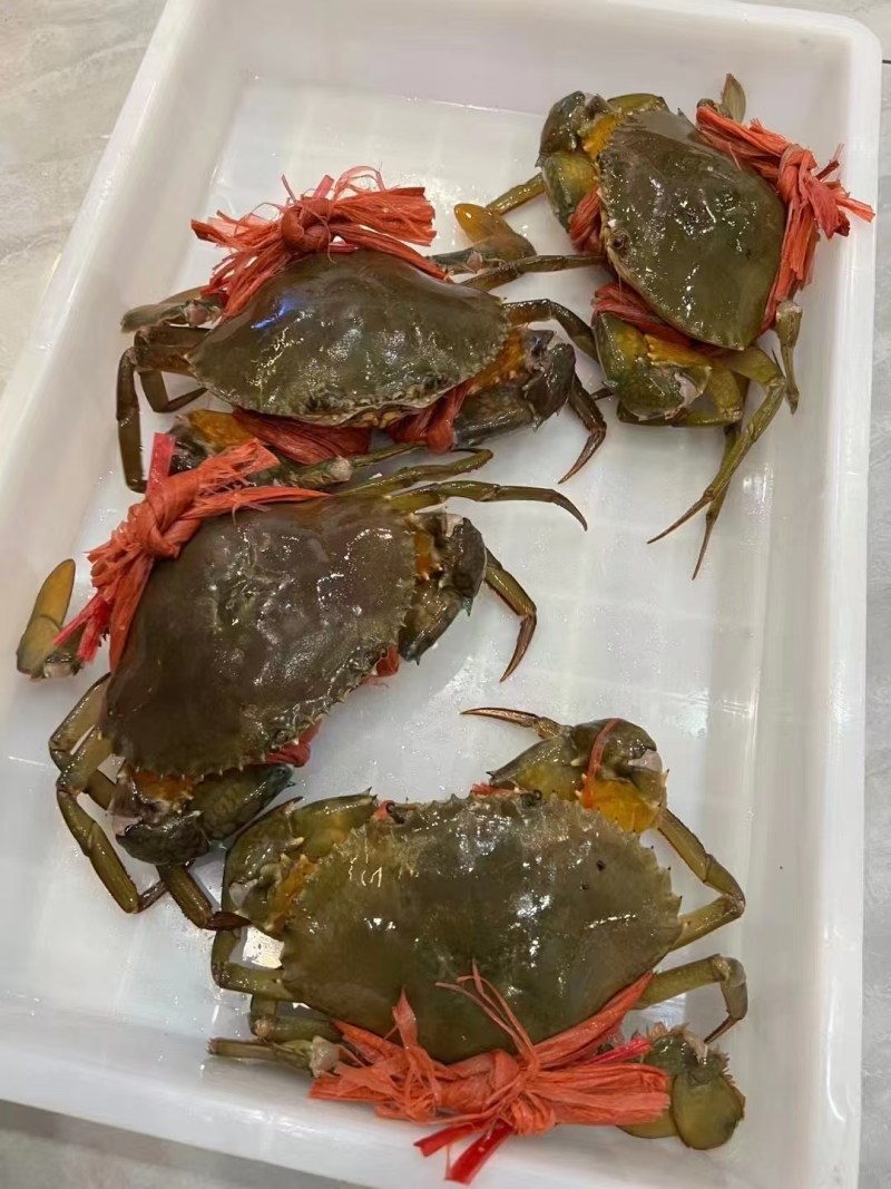 福建漳州红鲟膏蟹螃蟹