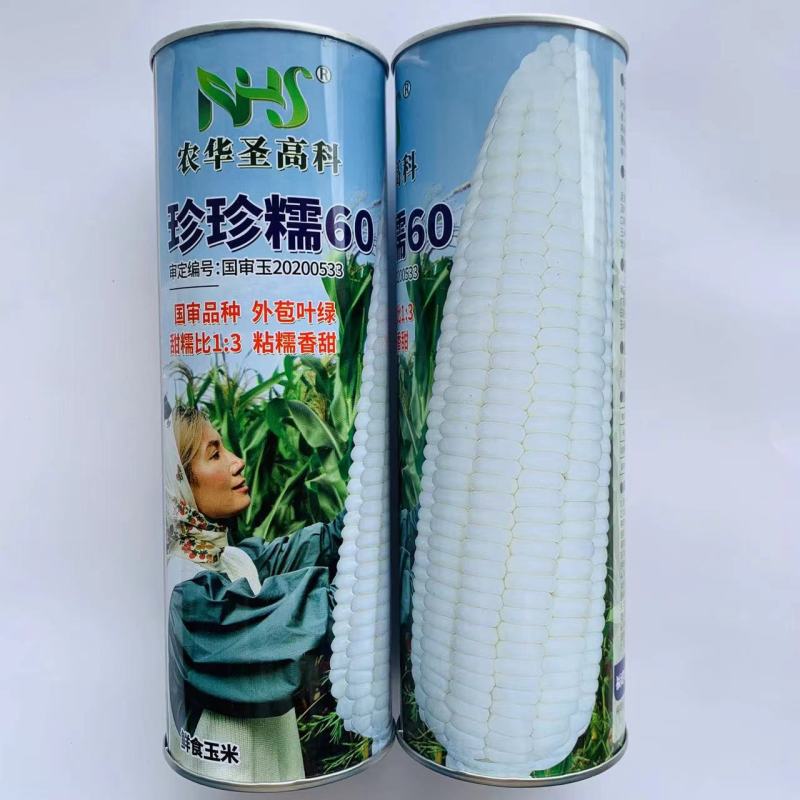 珍珍糯60玉米种子鲜食玉米粘糯香甜大棒白甜糯玉米种籽苞谷