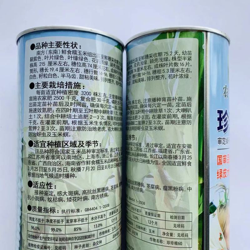 珍珍糯60玉米种子鲜食玉米粘糯香甜大棒白甜糯玉米种籽苞谷