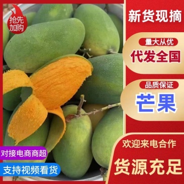 代办，芒果，贵妃，凯特，椰香，彩虹芒口感很好，加联系