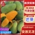 代办，芒果，贵妃，凯特，椰香，彩虹芒口感很好，加联系