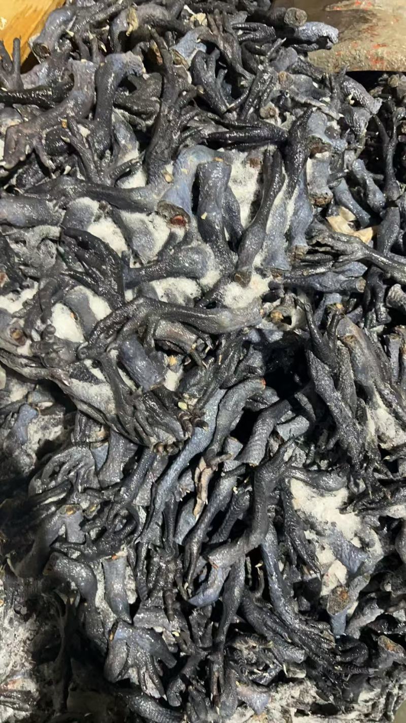 鲜冻长乌鸡脚黑鸡脚每月固定有量