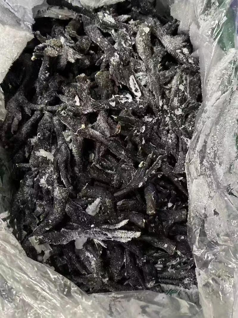 鲜冻长乌鸡脚黑鸡脚每月固定有量