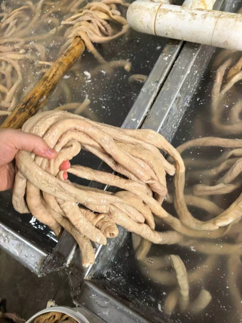 二级予煮熟小肠