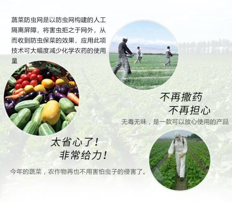 防虫网果蔬瓜菜苗木种植防虫网果园防虫大棚防虫养殖场防虫网