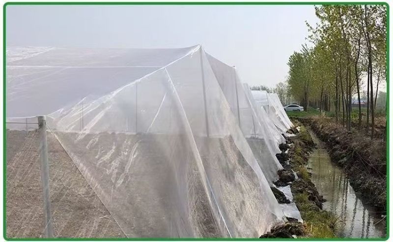 防虫网果蔬瓜菜苗木种植防虫网果园防虫大棚防虫养殖场防虫网